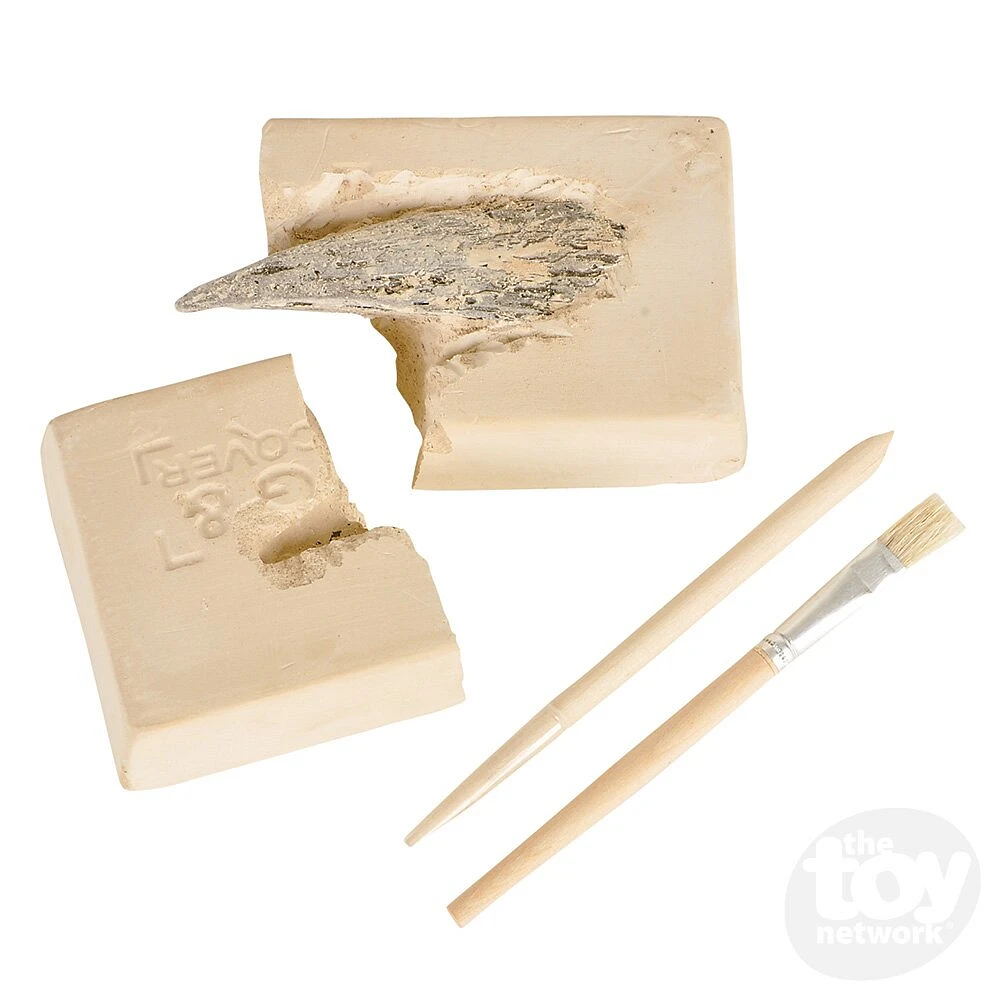 Dinosaur Claw Excavation Kit