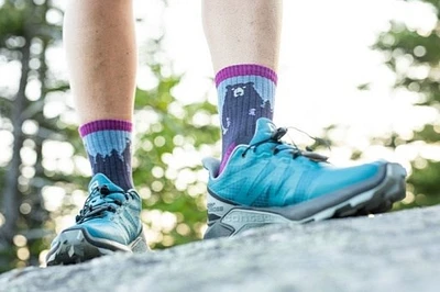 Darn Tough - Bear Town Lightweight Hiking Micro Crew Purple Women's