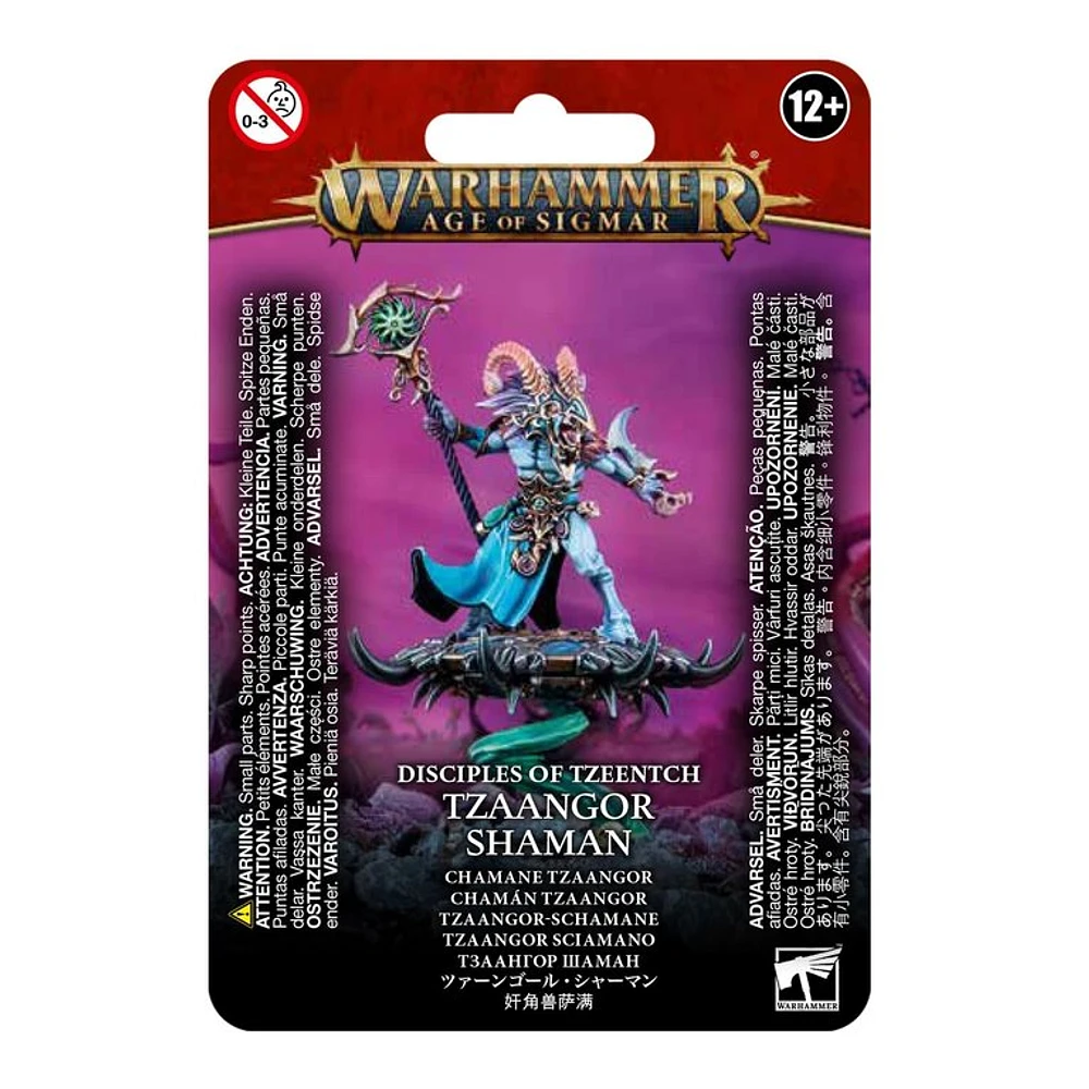 Tzaangor Shaman