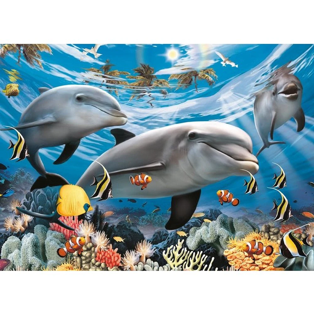 Rires des Caraïbes - 60 pièces