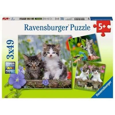 Ravensburger Chatons tigrés - 3x49 pièces