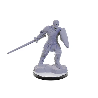Nolzur's Marvelous Unpainted Miniatures - Reborn Paladin