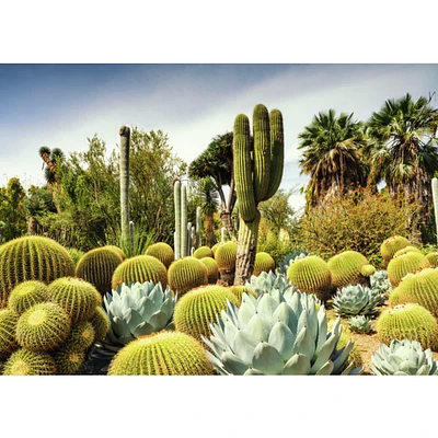 Huntington Desert Garden, USA - 1000 pièces