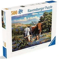 Aimer Longhorns - 500 pièces