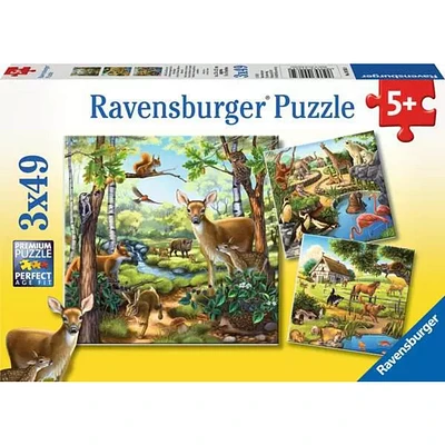 Animaux de la forêt, du zoo et domestiques - 3x49 pièces