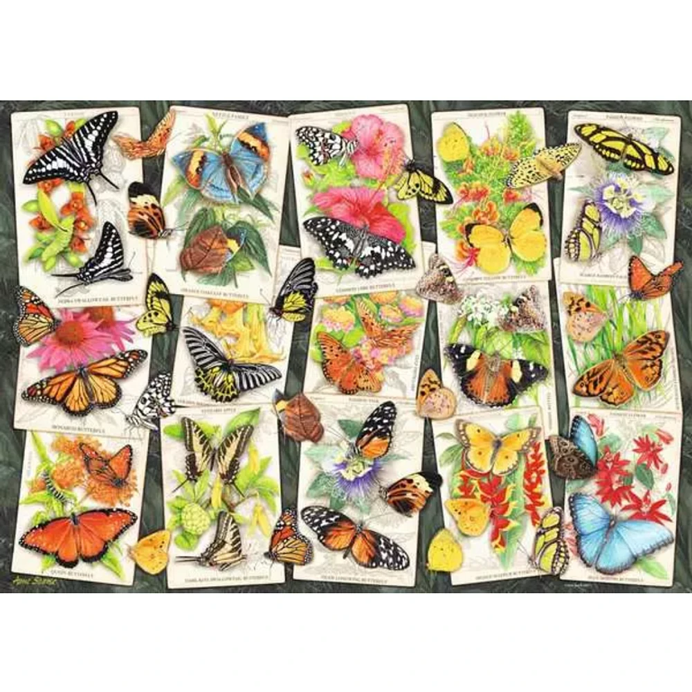 Papillons tropicaux - 1000 pièces