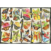 Papillons tropicaux - 1000 pièces