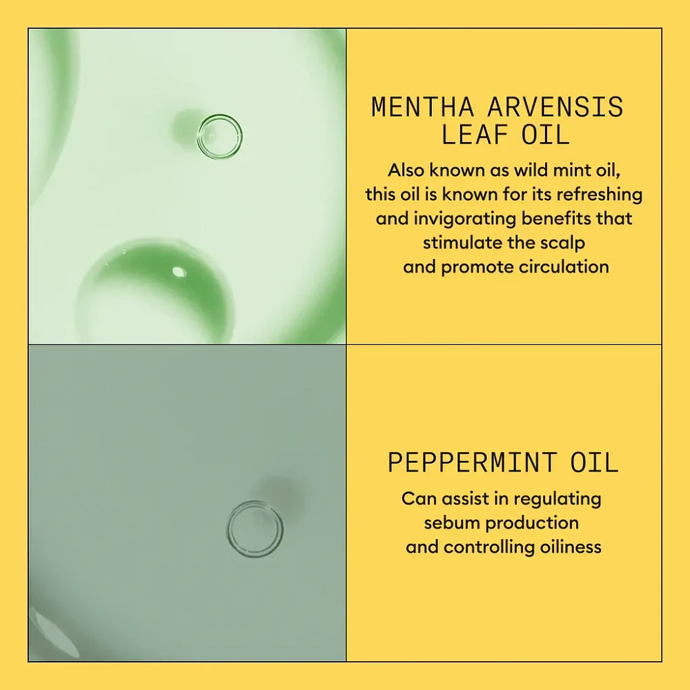 NIOXIN - SYSTÈME 1 Cheveux Naturels Légèrement Clairsemés | Revitalisant