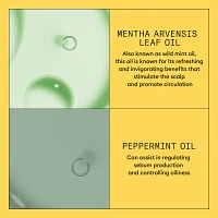 NIOXIN - SYSTÈME 1 Cheveux Naturels Légèrement Clairsemés | Revitalisant