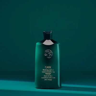 Moisture & Control | Lotion de Base Revitalisant Démêlant Sans Rinçage 250 ml (8.5 oz)