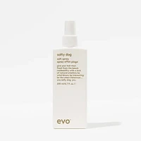 Salty Dog | Salt Spray