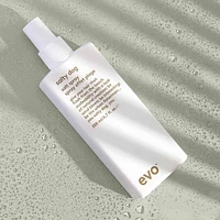 Salty Dog | Salt Spray