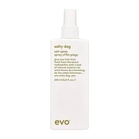Salty Dog | Salt Spray
