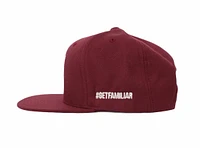 WLKN WLKN : Basic Signature Logo Snapback