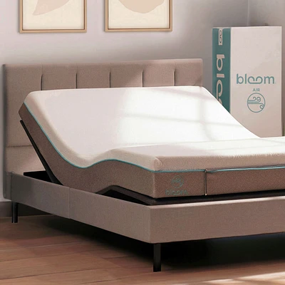Base Ajustable Bloom Essential