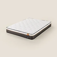 Matelas Harbour Chiropractic