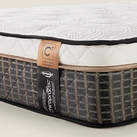 Matelas Harbour Chiropractic