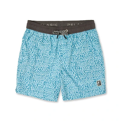 Youth Leiday Elastic Shorts
