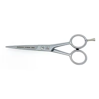 Erbe Barber Stainless Steel Scissors 5.5" (924805)
