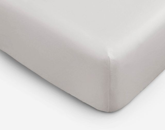 Eucalyptus Luxe Fitted Sheet - Silver by QE Home  (Twin, Grey)