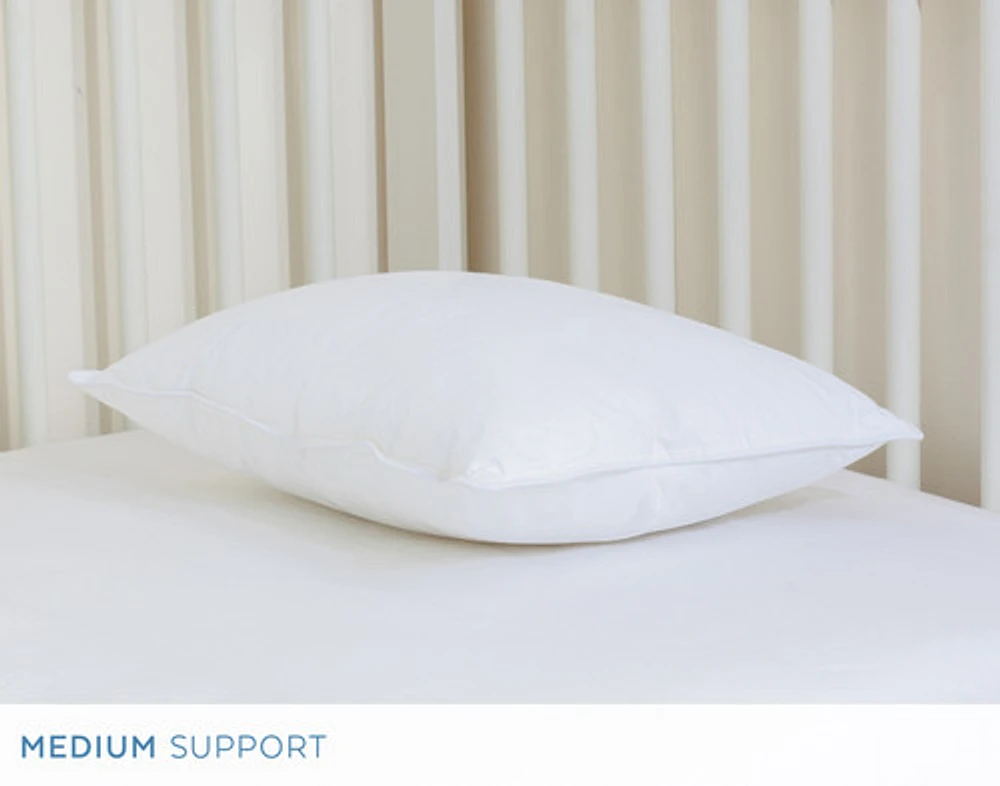 Petite Microfiber Pillow, White