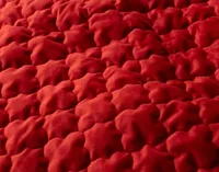 Lattice Ruby Quilt Set, Red, King