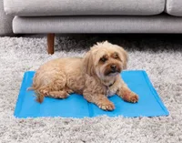 Cooling Pet Pad, Blue,