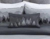 Plateau Boudoir Pillow Cover, Scenic, Grey, 24" x 12"
