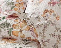 Kalbarri Cotton Quilt Set, Floral, Pink, Queen