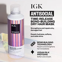 IGK Antisocial Time-Release Bond-Building Dry Mask