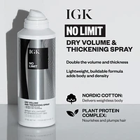 IGK No Limit Dry Volume & Thickening Finishing Spray