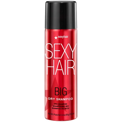 SEXY HAIR Big Dry Shampoo