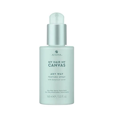 CLEARANCE ALTERNA My Hair My Canvas Any Way Texture Spray