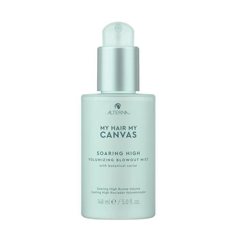CLEARANCE ALTERNA My Hair My Canvas Soaring High Volumizing Blowout Mist