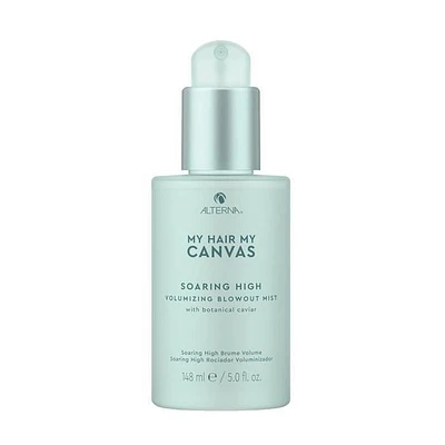 CLEARANCE ALTERNA My Hair My Canvas Soaring High Volumizing Blowout Mist
