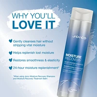 JOICO Moisture Recovery Shampoo
