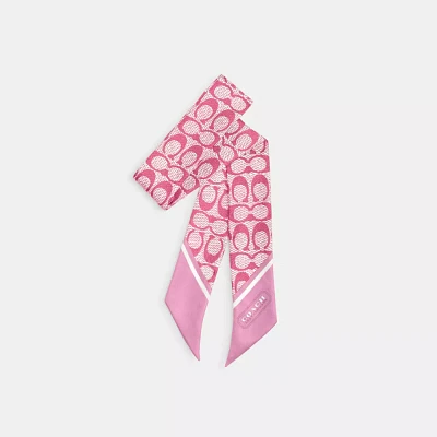 Textured Signature Print Silk Skinny Scarf