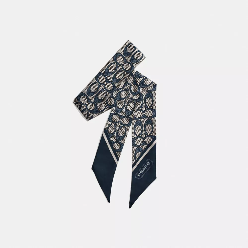 Textured Signature Print Silk Skinny Scarf