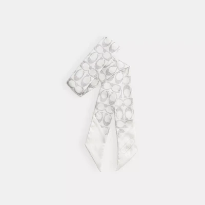 Textured Signature Print Silk Skinny Scarf