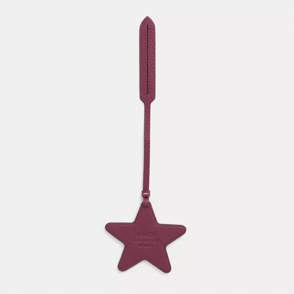 Remade Star Bag Charm