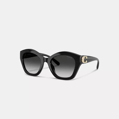 Maxi Sculpted C Oversized Geometric Sunglasses
