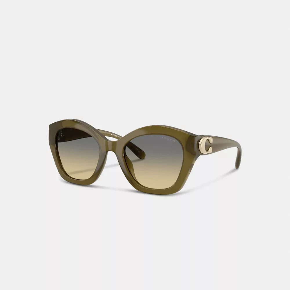 Maxi Sculpted C Oversized Geometric Sunglasses