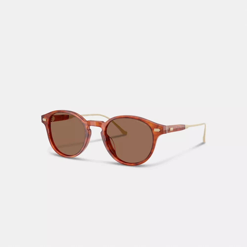 Signature Round Sunglasses