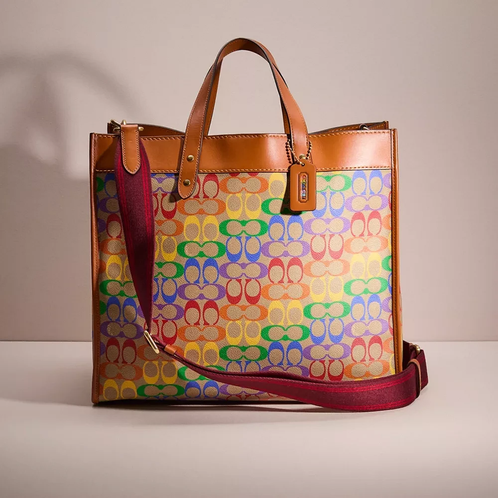 Restored Field Tote Bag 40 In Rainbow Signature Canvas