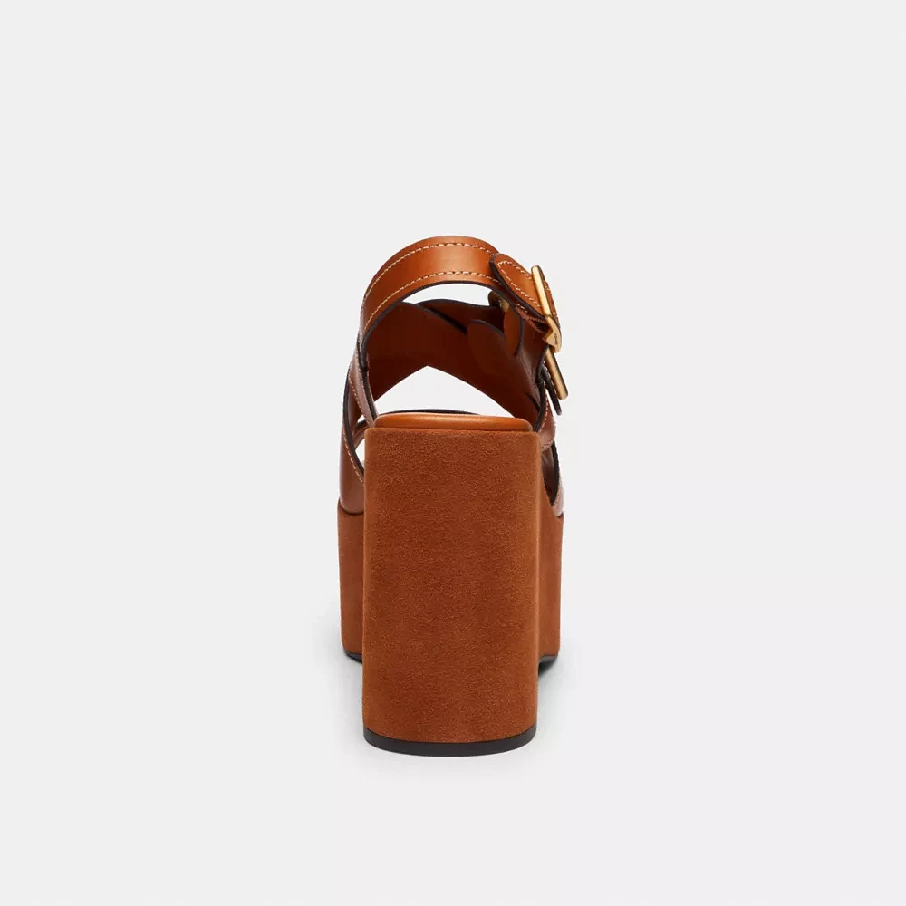Archival Buckle Wedge