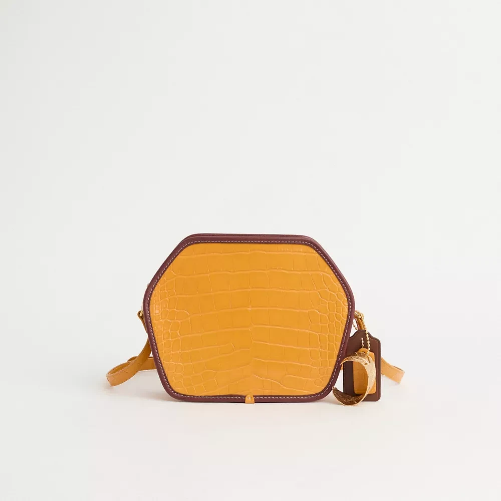 Upcrafted Zip Geometric Pouch In Alligator