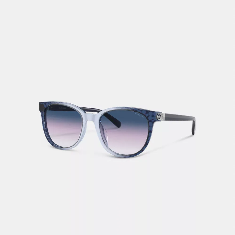 Horse And Carriage Round Sunglasses