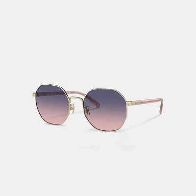 Metal Hexagon Sunglasses