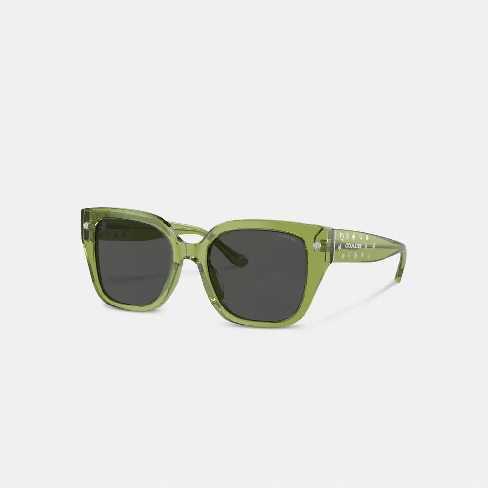 Charms Oversized Square Sunglasses