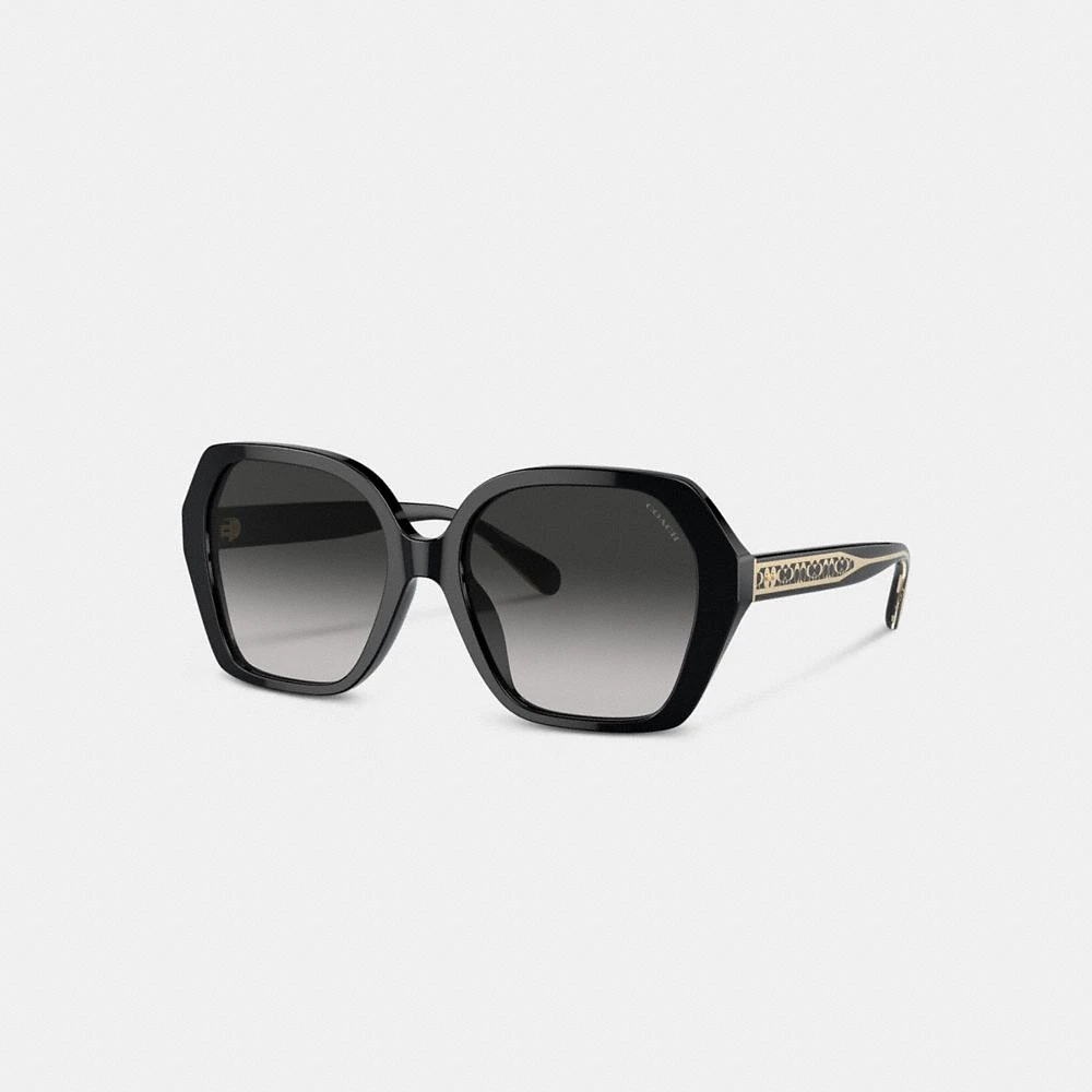 Signature Ombré Geometric Square Sunglasses
